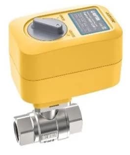 Кран с электроприводом Neptun PROFI 220В 1 1/4
